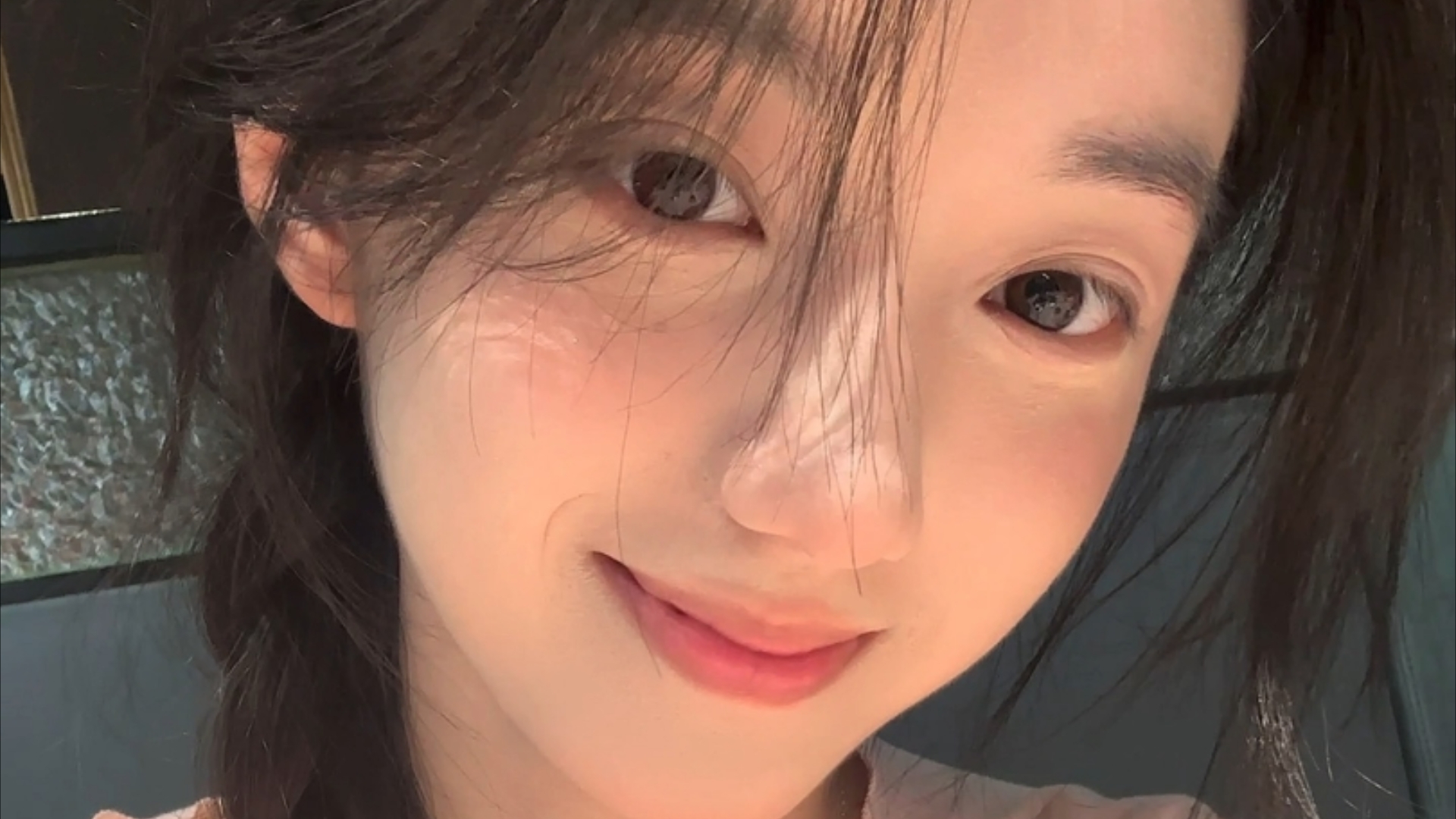 云南普洱亚洲象组团觅食 多部门加强监测